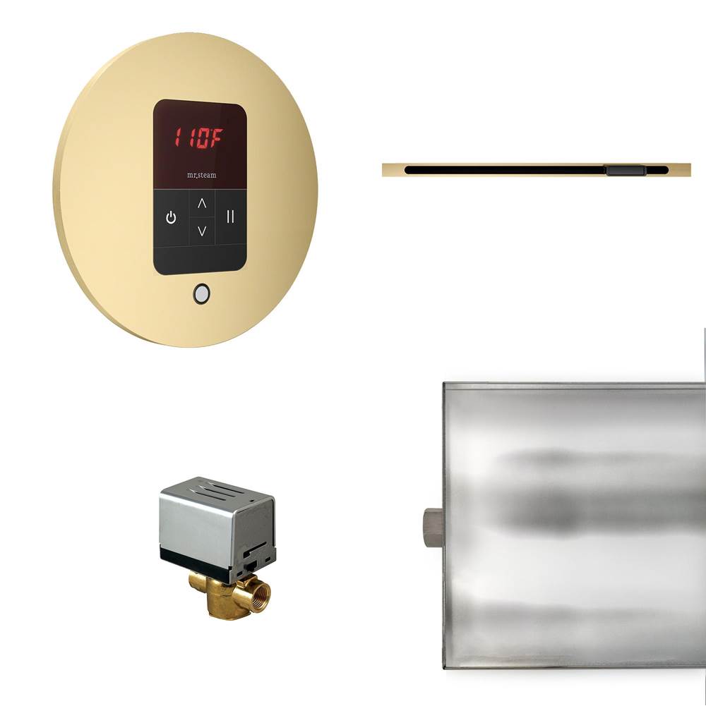 Mr. Steam Basic Butler Linear Steam Shower Control Package with iTempo Control and Linear SteamHead in Round Satin Brass