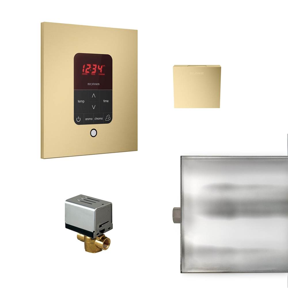 Mr. Steam Basic Butler Steam Shower Control Package with iTempo Control and Aroma Designer SteamHead in Square Satin Brass